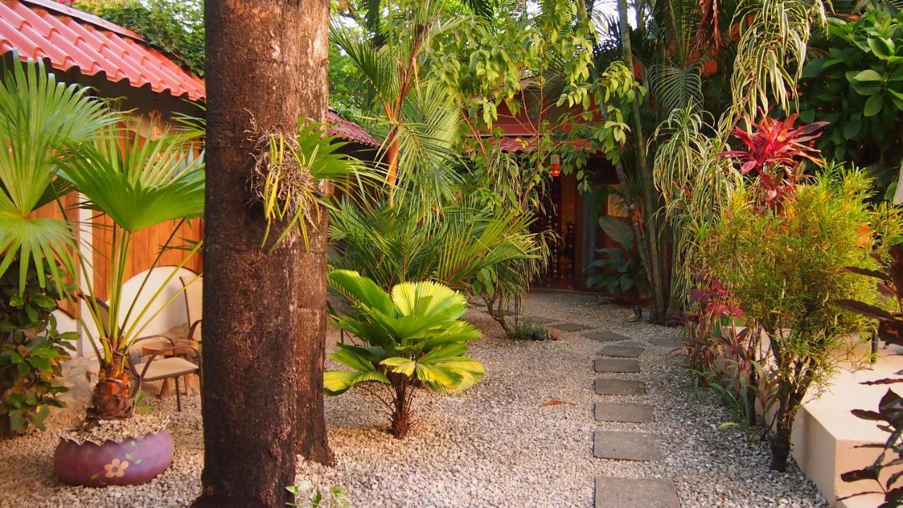 Samara Palm Lodge Exteriér fotografie